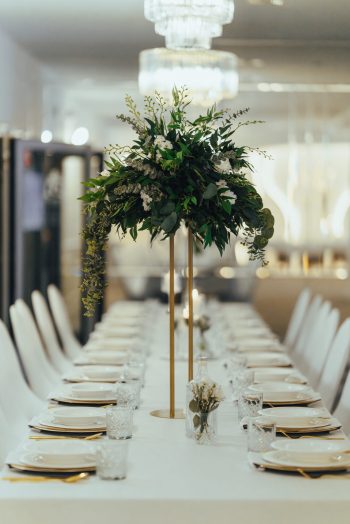 Nova Dębina 22.01.25 @hylaphoto-19